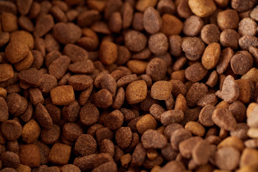 Pet Supplies (non-toxic)