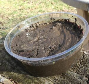 Actual Mud pie